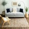 Outlet 🧨 Mohawk Home Phoebe Distressed Medallion Area Rug Cool ⌛