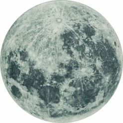 Flash Sale ✔️ Mohawk Home Grey Moon Realistic Area Rug ✨ -Mohawk Home shop unnamed file 2702